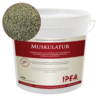 IPEA Muskulatur Bucket 3.500 gramm