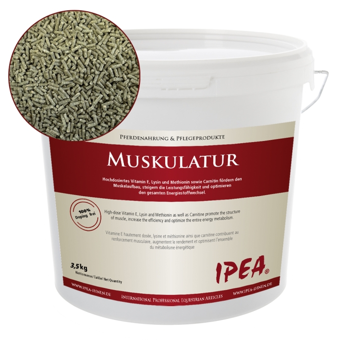 IPEA Muskulatur Bucket 3.500 gramm