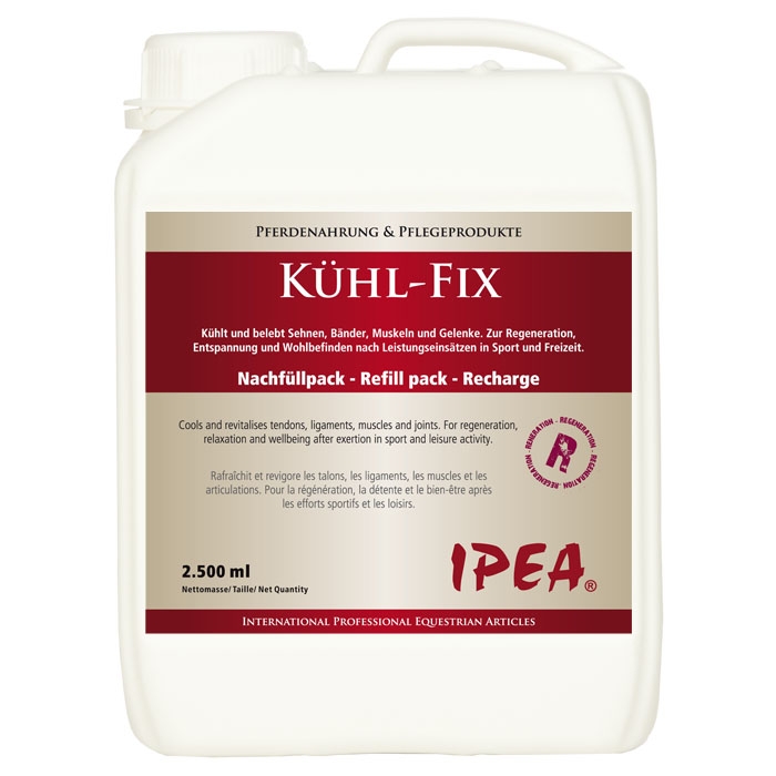 IPEA Kühl-Fix 2.500ml Kanister